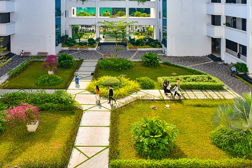 QS Sustainability và THE Impact trong quản trị đại học bền vững