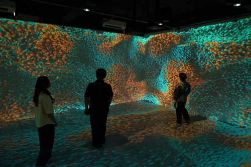 UEH ra mắt không gian học tập đắm chìm (Immersive Room): Thúc đẩy mô hình giáo dục ứng dụng công nghệ cao trong kỷ nguyên số